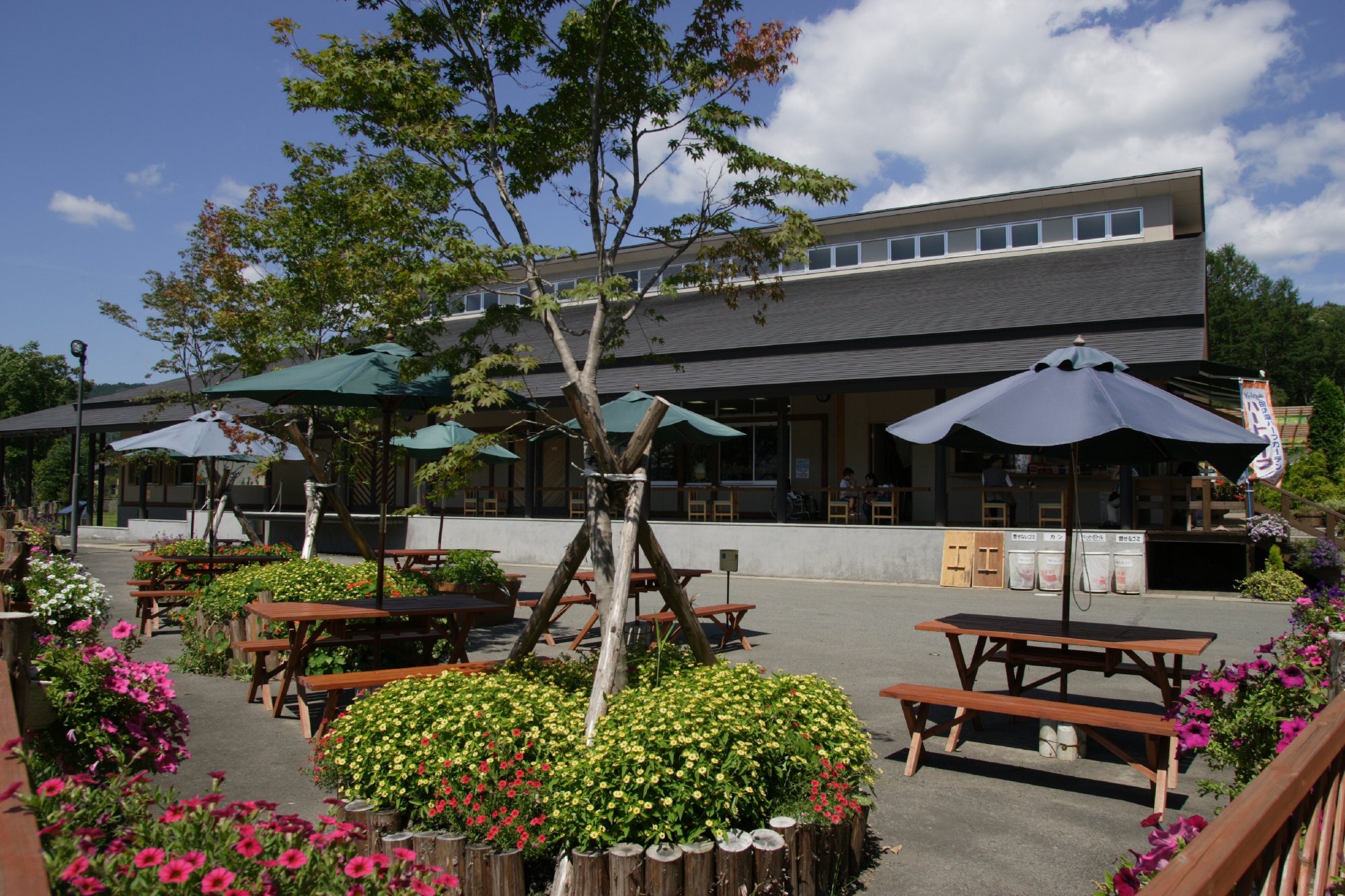 🌿 타자와코 허브 가든 하트 허브 이미지 8